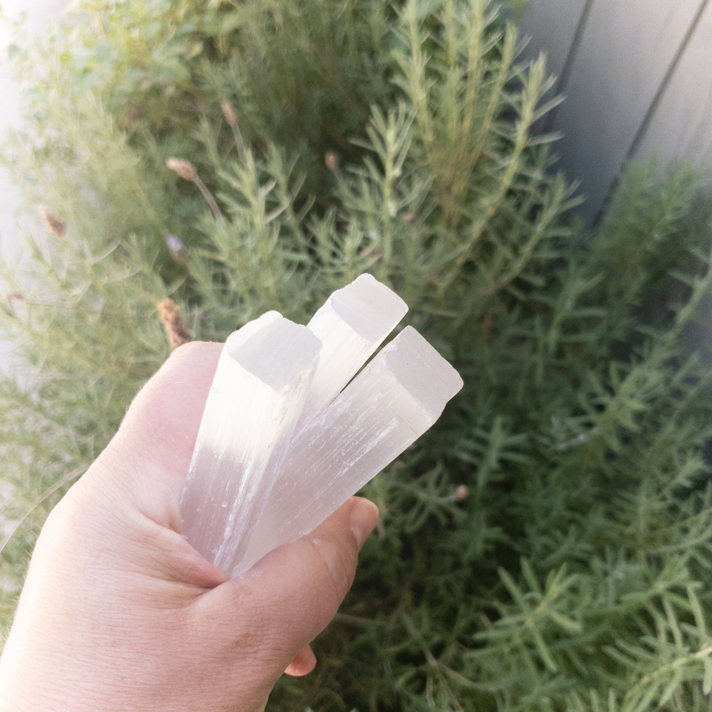 Selenite Healing Crystal Sticks